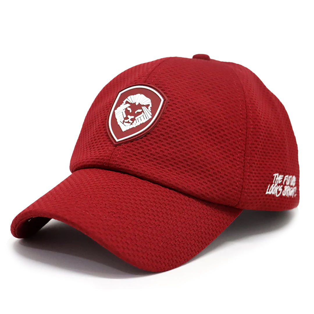 VT Shield Future Looks Bright Burgundy Velcro Performance Hat