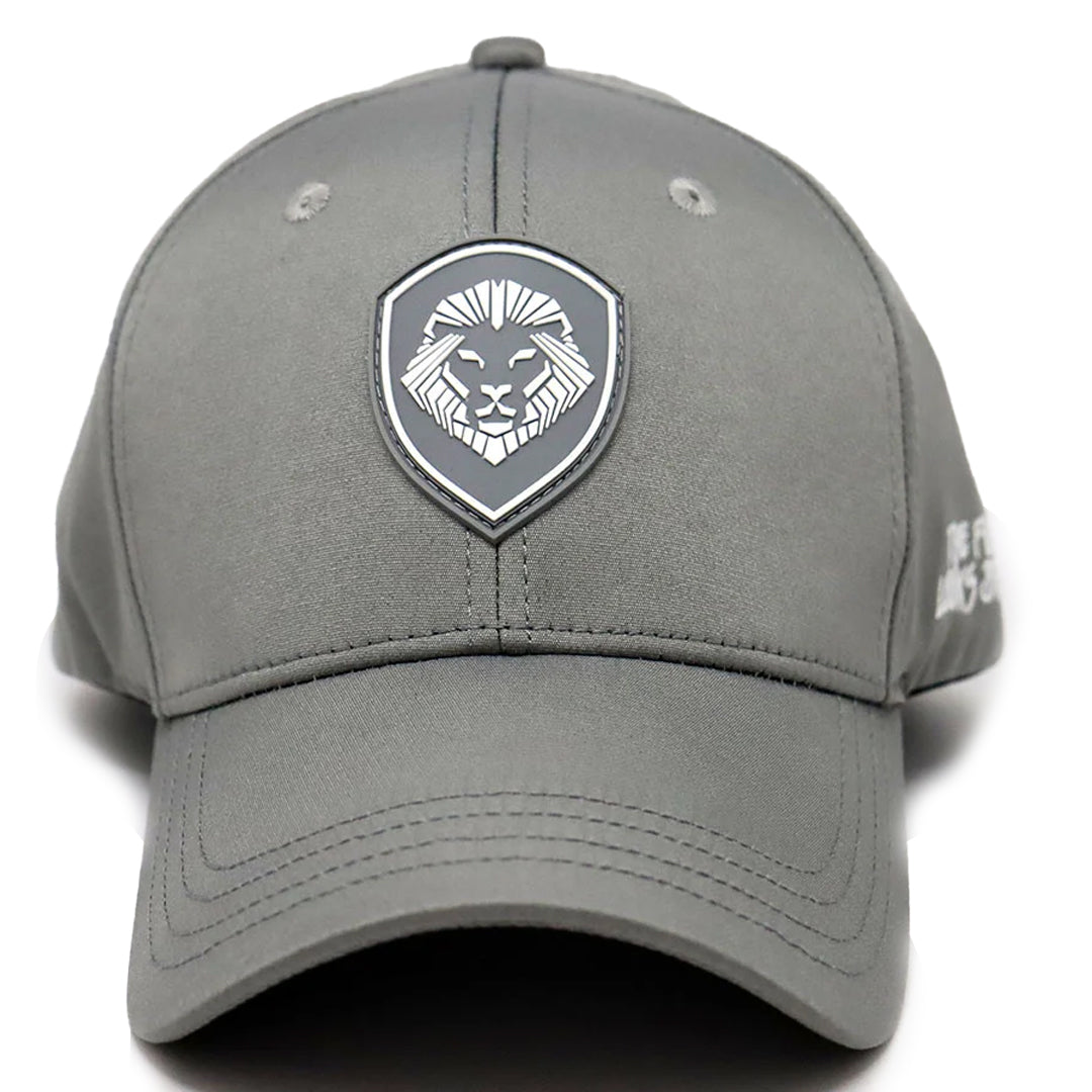 VT Shield Logo Future Looks Bright Grey Snapback Hat