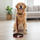 Valuetainment Lion Shield Leash and Collar Pet Set