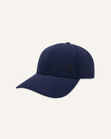 Vault Icon Hat