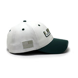 Future Looks Bright USA Soft Sage Dual Tone Snapback Hat
