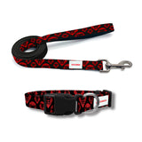 Valuetainment Lion Shield Leash and Collar Pet Set