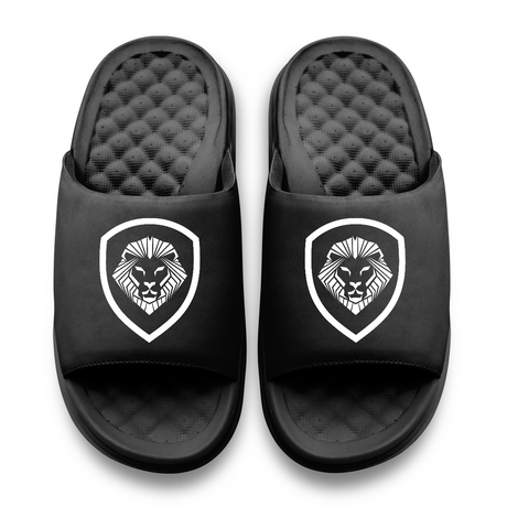 Valuetainment Lion Crest Primary Motive Slides