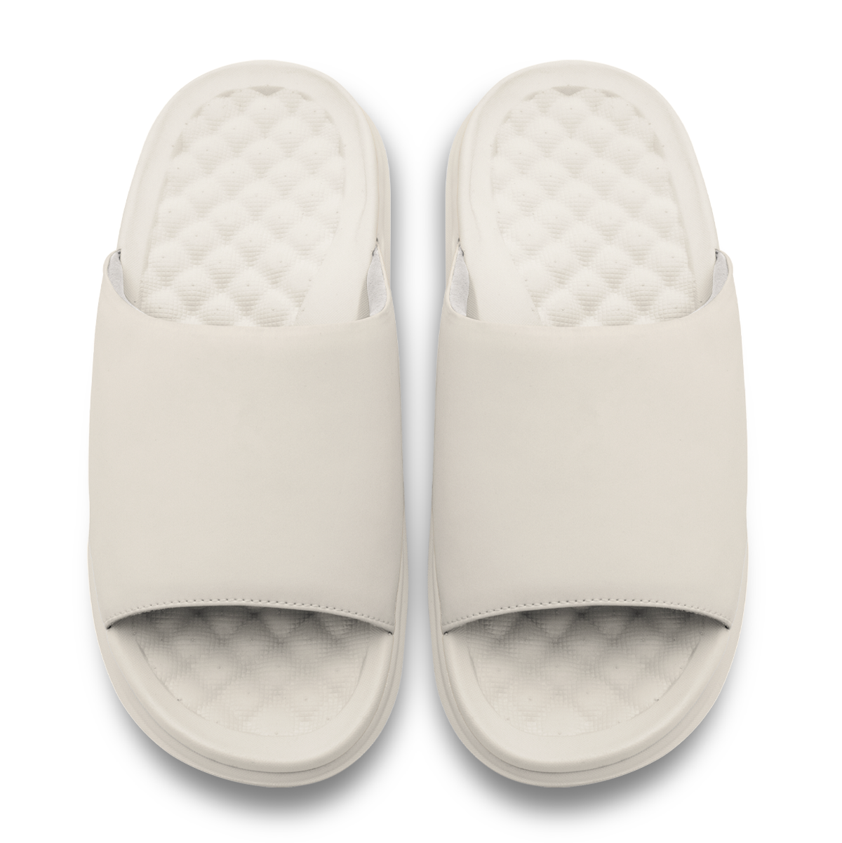 Valuetainment Lion Crest Minimalistic Motive Slides