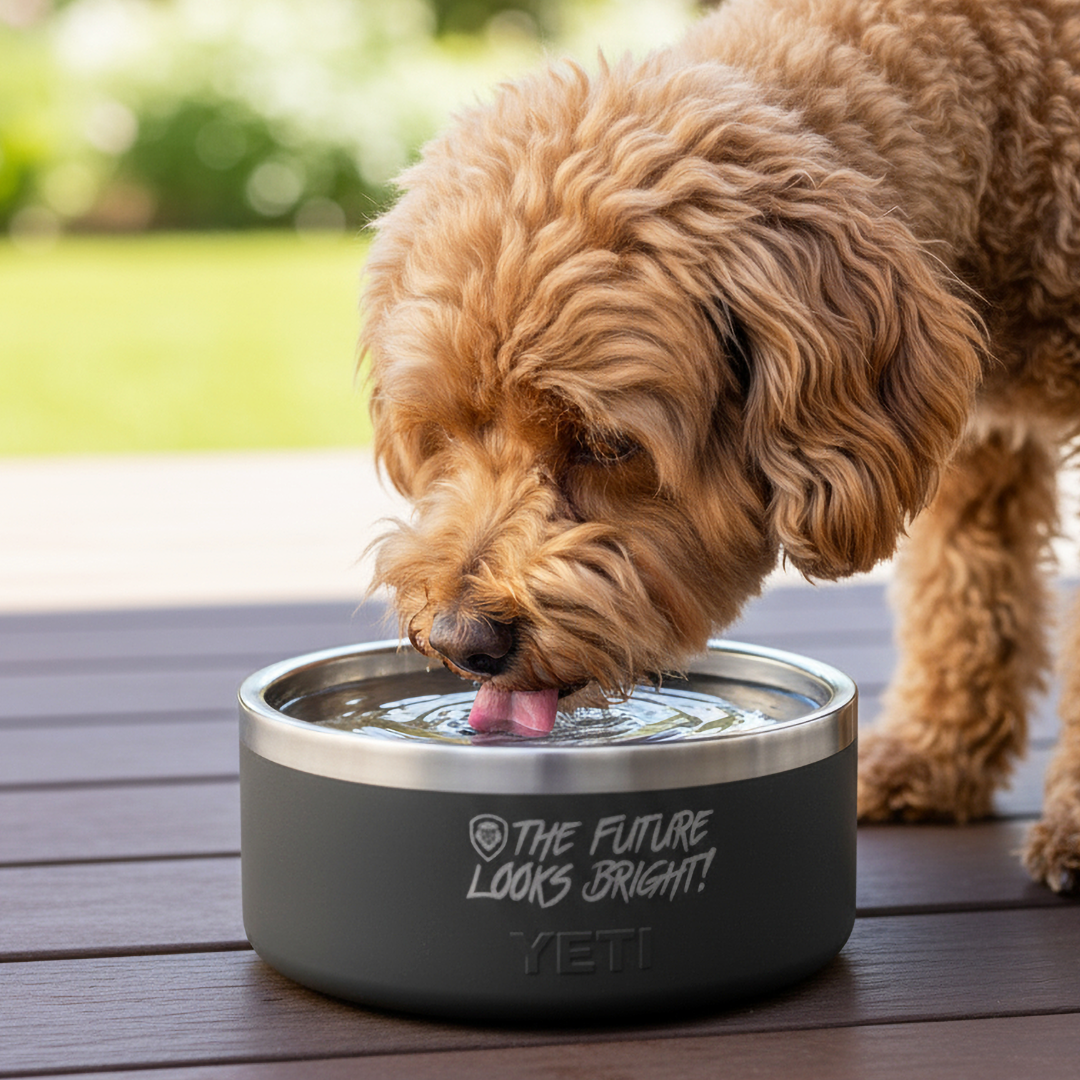 Future Looks Bright Valuetainment Black YETI Dog Bowl 4 oz